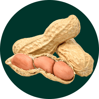 그릭베리 재료들