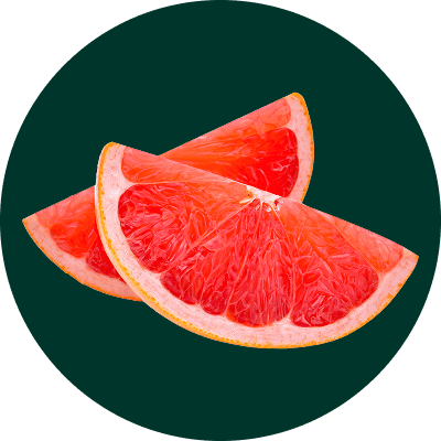 그릭베리 재료들