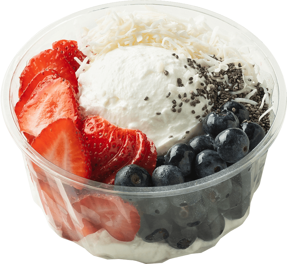 그릭베리 창업비용